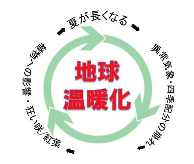 地球温暖化
＞夏が長くなる
＞異常気象・四季配分の崩れ
＞植物への影響】狂い咲/紅葉