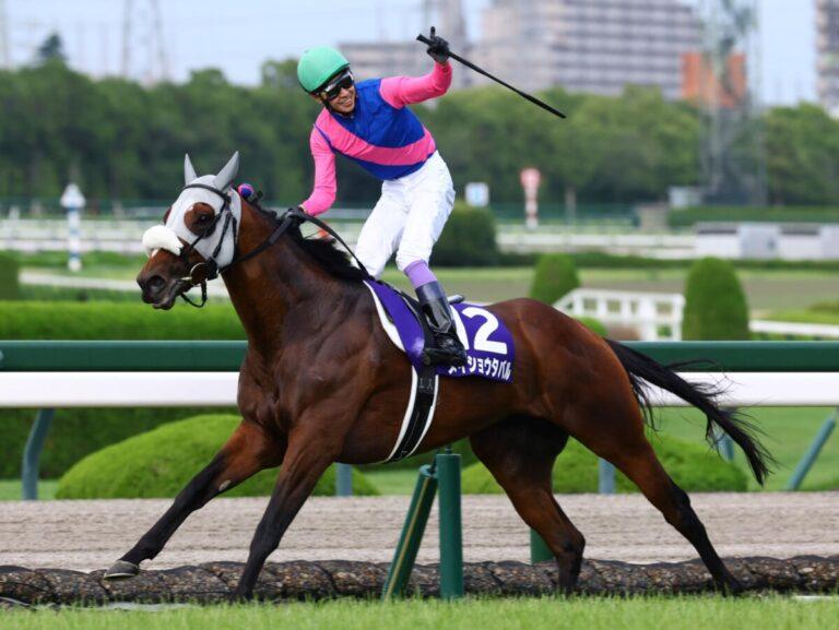 宝塚記念優勝／メイショウタバル