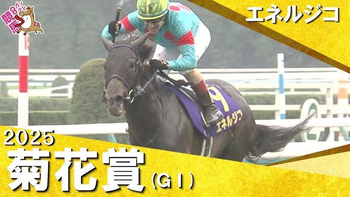 エネルジコ1着!