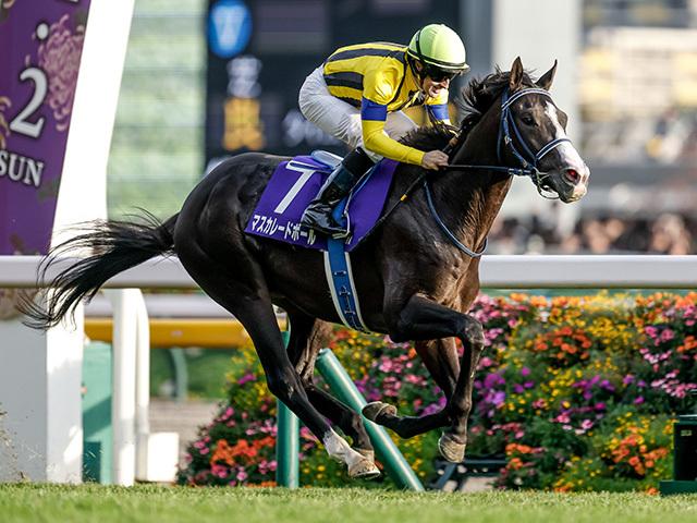 １番人気のマスカレードボール