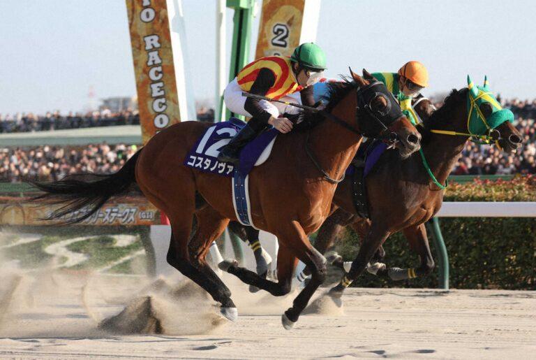 2026 フェブラリーステークス優勝 コスタノヴァ