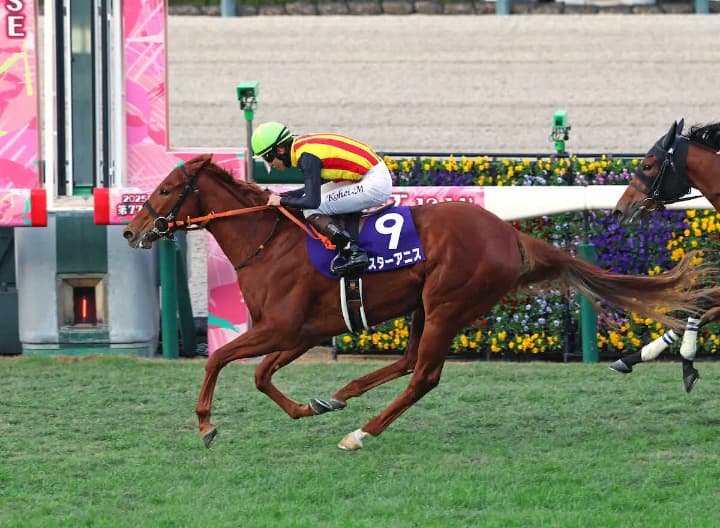 阪神ジュベナイルフィリーズ2025優勝／スターアニス