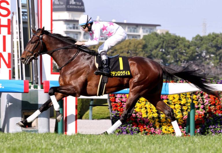 若葉ステークス2026優勝／マテンロウゲイル