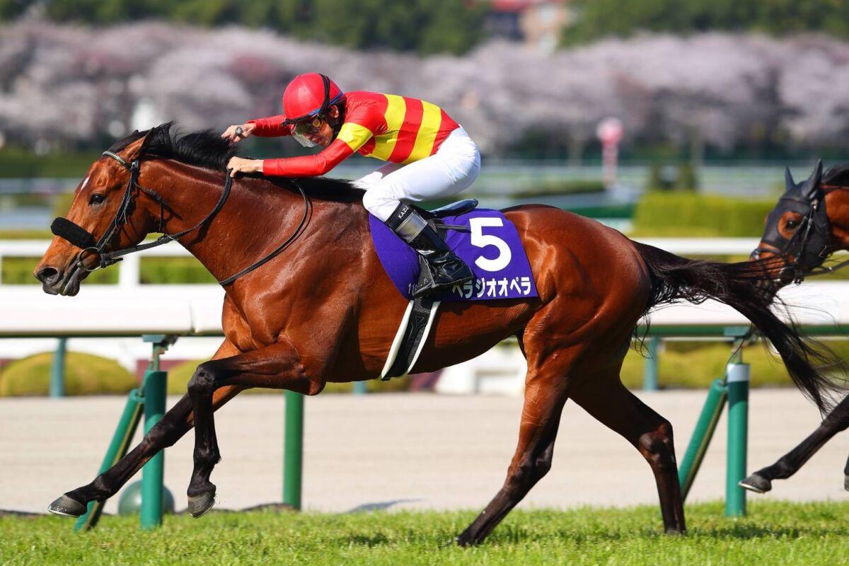 2025大阪杯 優勝／べラジオオペラ