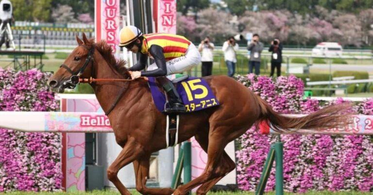 桜花賞2026優勝／スターアニス