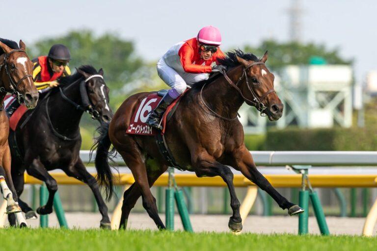 2026 青葉賞 優勝 ／ゴーイントゥスカイ