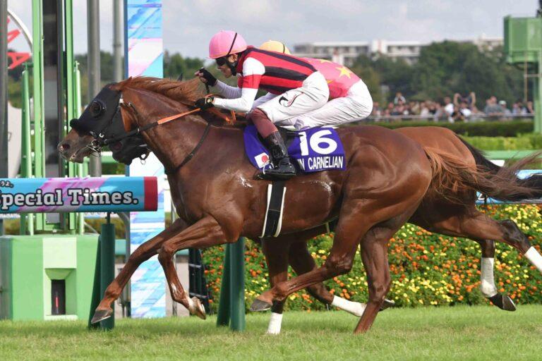 スプリンターズステークス 2025 優勝／ ウインカーネリアン